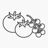 fresh a tomatinica