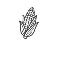 sweet A corn